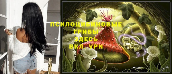 a pvp Баксан